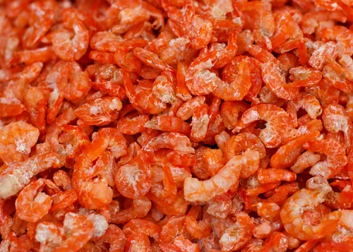 Dried Shrimp