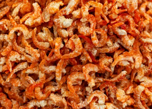Giant Tiger Prawn