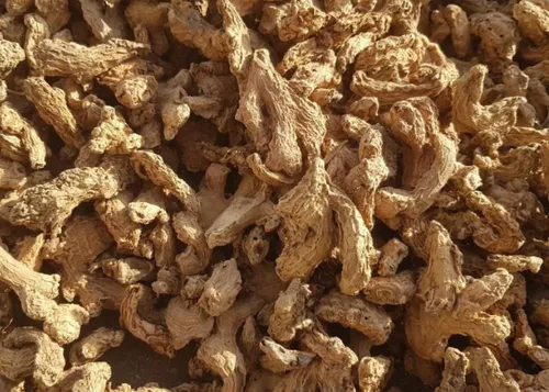 Dried Ginger Whole