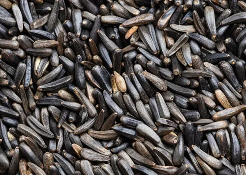 Niger Seeds