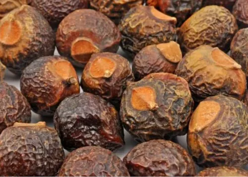 Reetha (round soap nut)