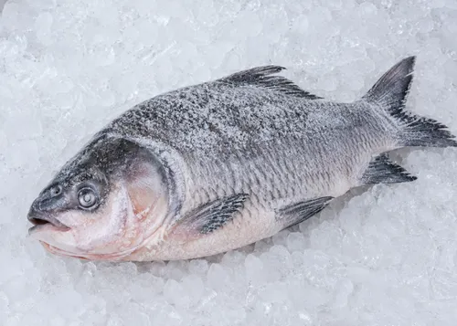 Frozen Katla
