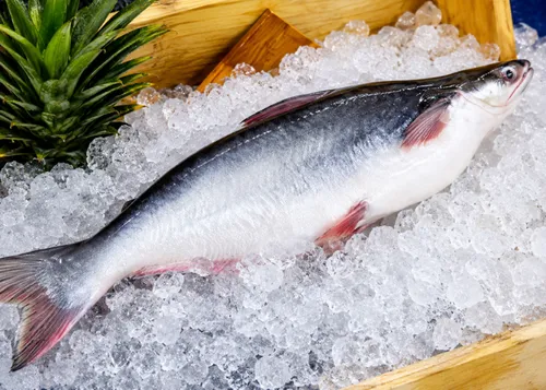 Frozen Pangush